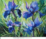 From the Spring Garden, Irises-1, Oil on Canvas